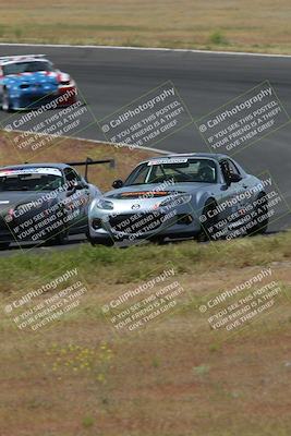 media/May-04-2024-Lucky Dog Racing (Sat) [[d39539b3f3]]/Race Pics/1015am (Turn 2)/